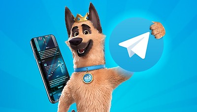 Telegram Kanalıma Katılmak İster Misin?