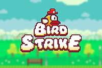 Bird Strike