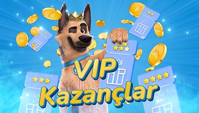 VIP Programında Kazan