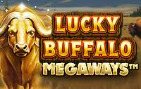 Lucky Buffalo Megaways