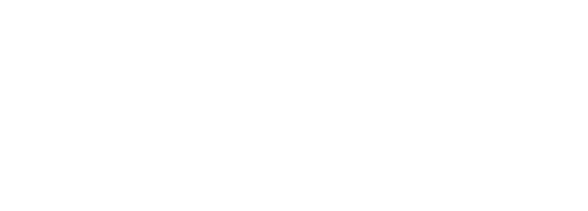 Rexbet Visa card